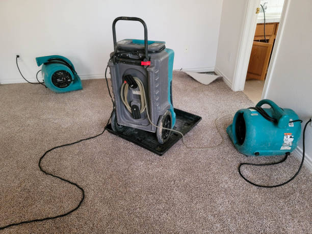 Best Commercial water damage restoration  in Centerton, AR