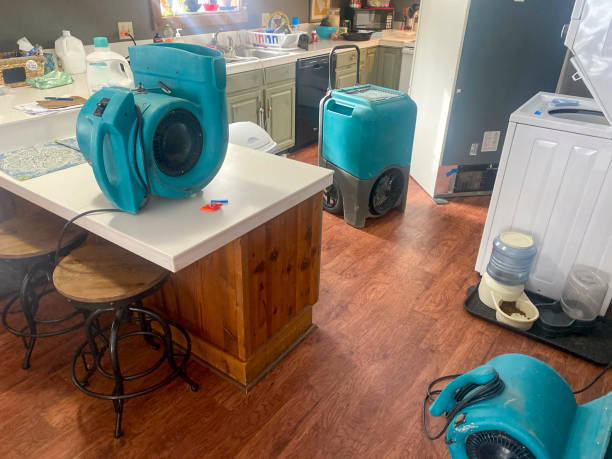 Best 24-hour water damage restoration  in Centerton, AR