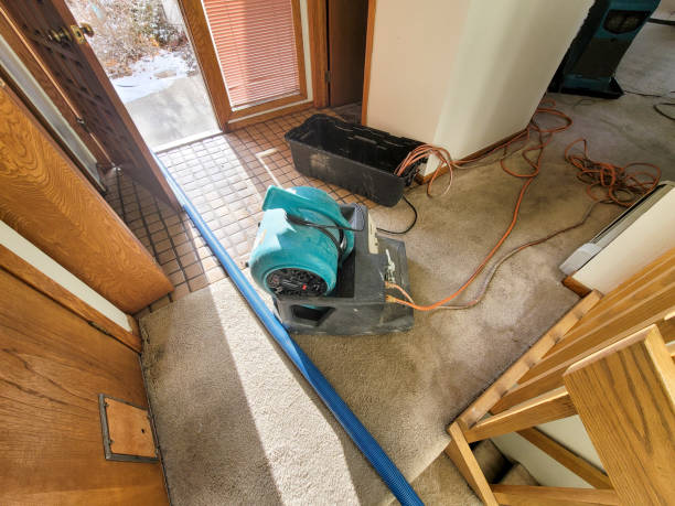 Best 24-hour water damage restoration  in Centerton, AR