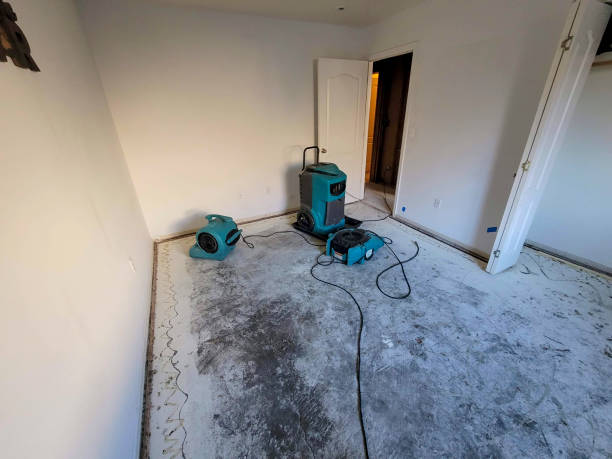 Best Emergency water damage restoration  in Centerton, AR