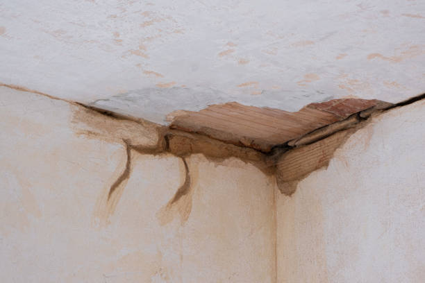 Best Residential water damage restoration  in Centerton, AR