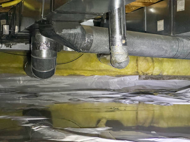 Best Carpet water damage restoration  in Centerton, AR