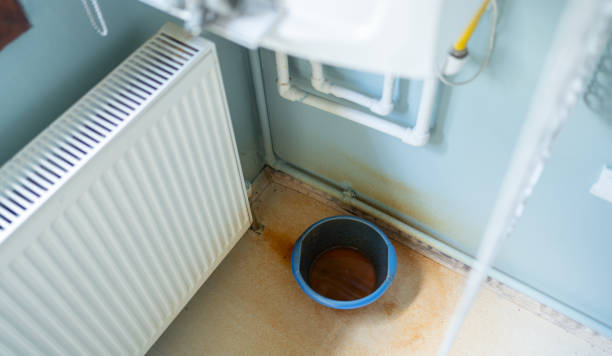 Best Flood damage cleanup  in Centerton, AR